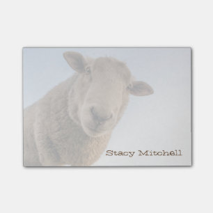 Bloco De Notas Carneiros grandes - personalize-o!