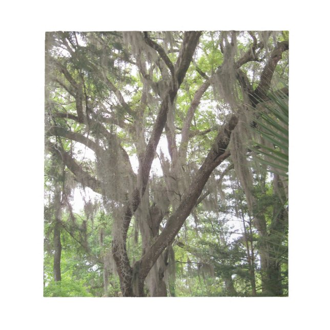 Bloco De Notas carvalho com musgo espanhol acenando nos ramos (Frente)