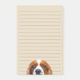 Bloco De Notas Cavaleiro Rei Charles Spaniel