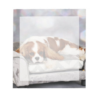 Bloco De Notas Cavalier King Charles Spaniel - Remington