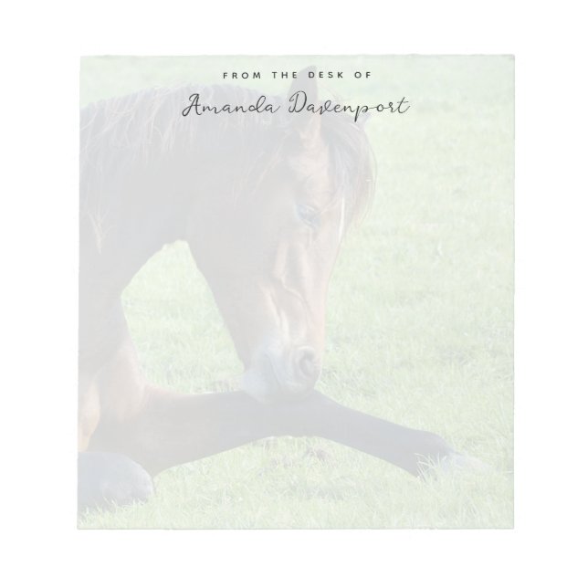 Bloco De Notas Cavalo castanho bonito a vaiar na grama (Frente)