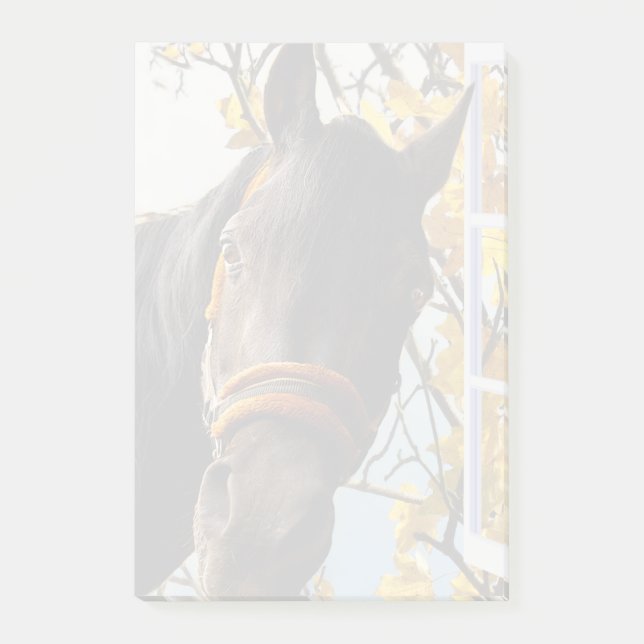 Bloco De Notas Cavalo Curioso Olhando Pela Janela Da Cozinha (Frente)