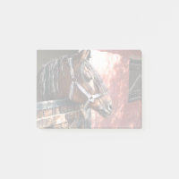 Cavalo de Baía bonito em um Estável Sol