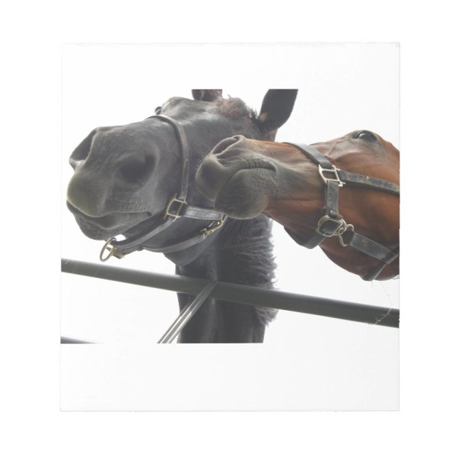 Bloco De Notas Cavalo Por Aí (Frente)