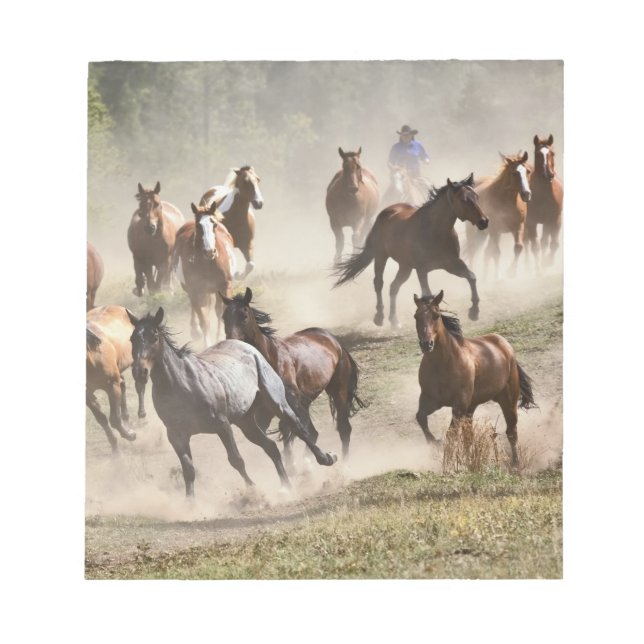 Bloco De Notas Cavalos correndo durante o roundup, Montana (Frente)