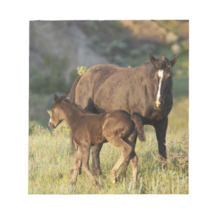 Bloco De Notas Cavalos Selvagens no Parque Nacional Theodore Roos