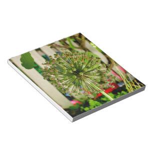 Bloco De Notas Cebola Ornamental