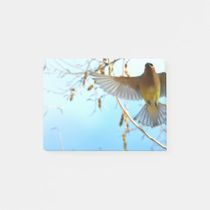Bloco De Notas Cedar Waxwing em Voo