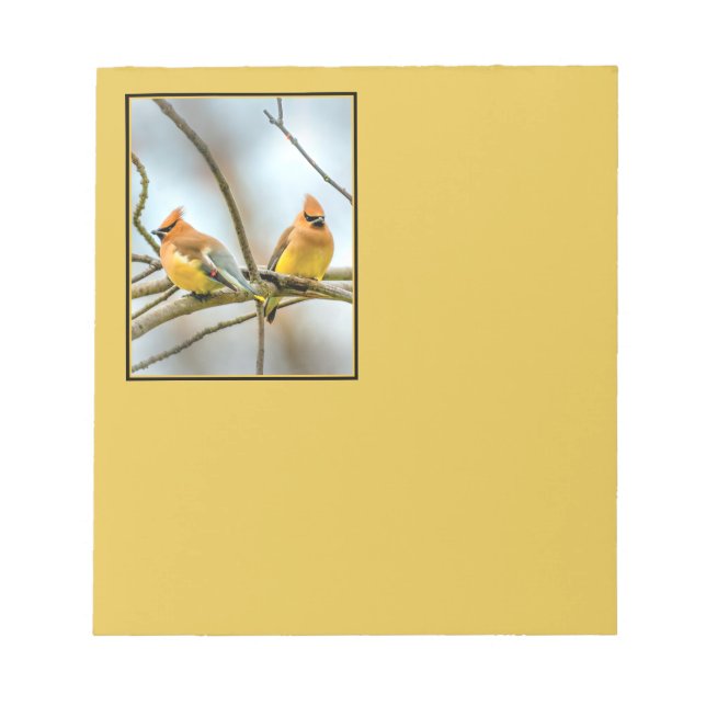 Bloco De Notas Cedar Waxwing - Foto Original (Frente)