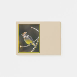 Bloco De Notas Cedar Waxwing Songbird Original Foto de Pássaro Se