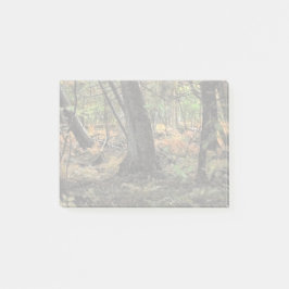 Bloco De Notas Cena da floresta do outono