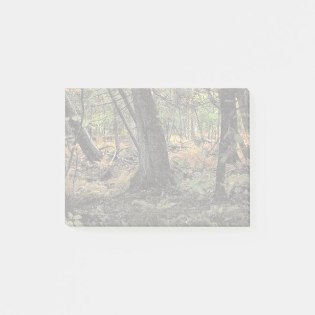 Bloco De Notas Cena da floresta do outono (Frente)