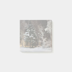 Bloco De Notas Cena Noturna de Floresta de Inverno Aconchegante