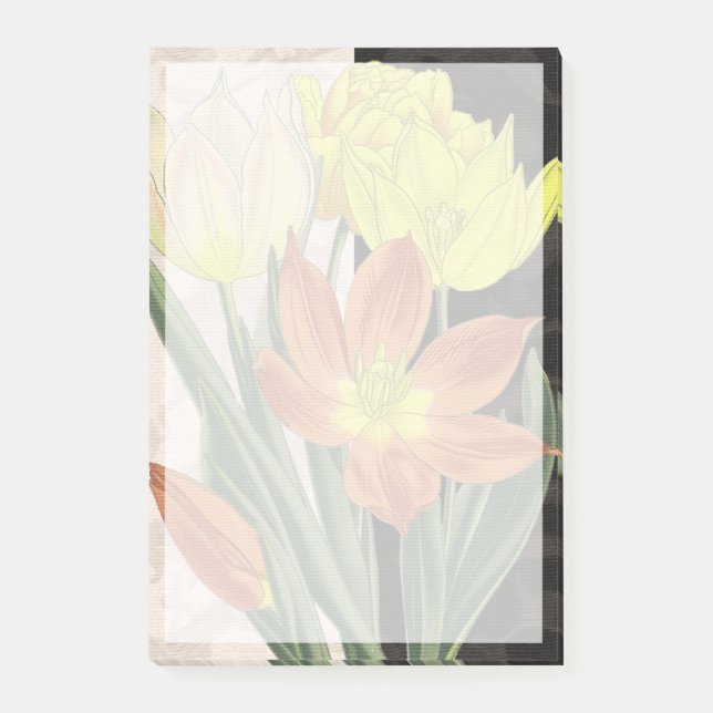 Bloco De Notas Centerape II (Frente)