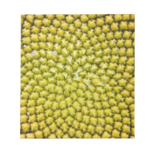 Bloco De Notas Centro de Girassol gigante (Helianthus annuus)