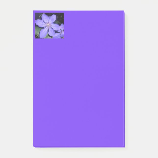 Bloco De Notas Césarina (Frente)