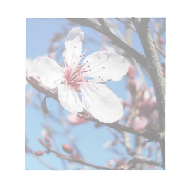 Bloco De Notas Cherry Blossom 2 (Frente)