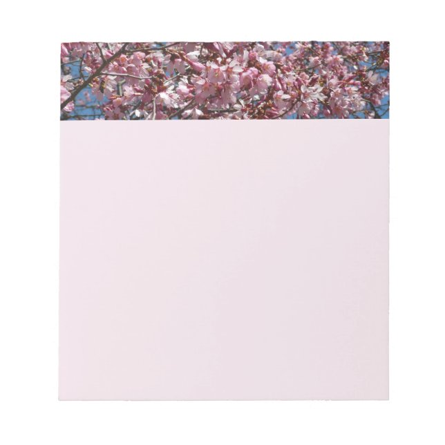 Bloco De Notas Cherry Blossoms e Blue Sky Primavera Floral (Frente)