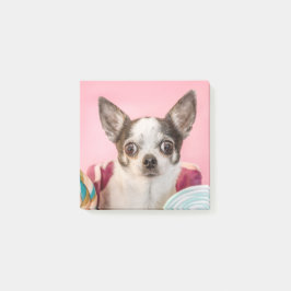 Bloco De Notas Chihuahua Hund auf rosa