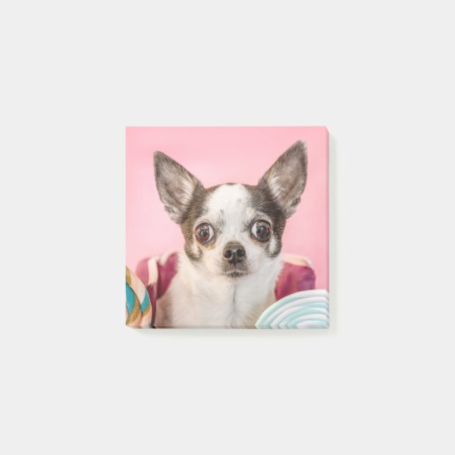Bloco De Notas Chihuahua Hund auf rosa (Frente)