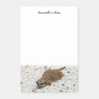 Bloco De Notas Chillin' Meerkat Posta-it Notes