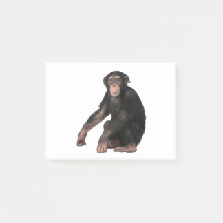 Bloco De Notas Chimpanzé