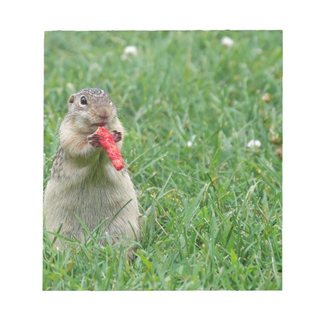 Bloco De Notas Chipmunk.JPG (Frente)