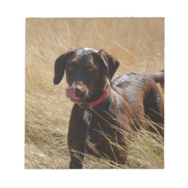 Bloco De Notas Chocolate Brown Labrador Retriever
