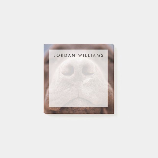 Bloco De Notas Chocolate Labrador Nose Closeup (Frente)