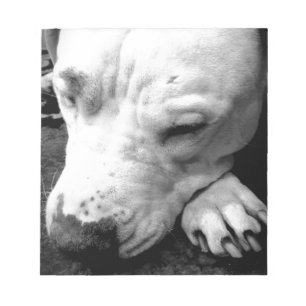 Bloco De Notas cicatriz do harry potter cachorro pit bull branco