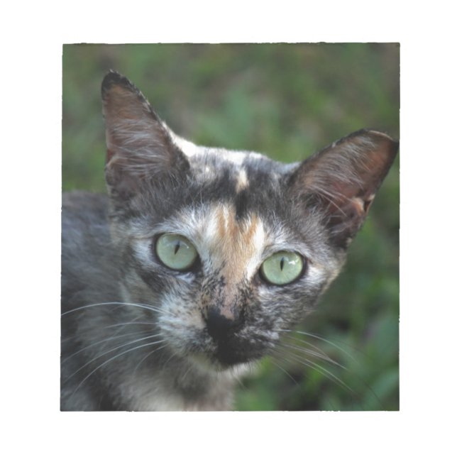 Bloco De Notas Cinza de Gato Branco Castanho com Olhos Verdes (Frente)