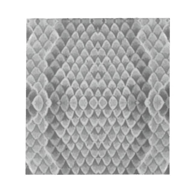 Bloco De Notas Cinza Snakeskin (Frente)