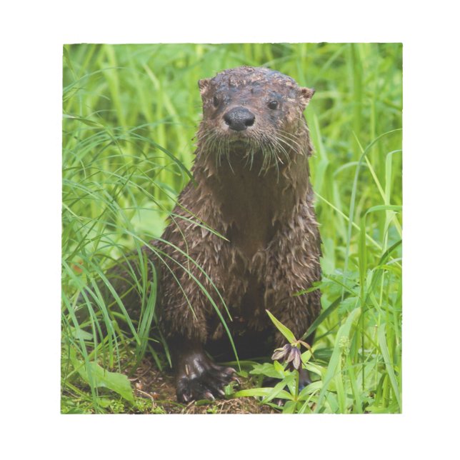 Bloco De Notas Clever River Otter (Frente)