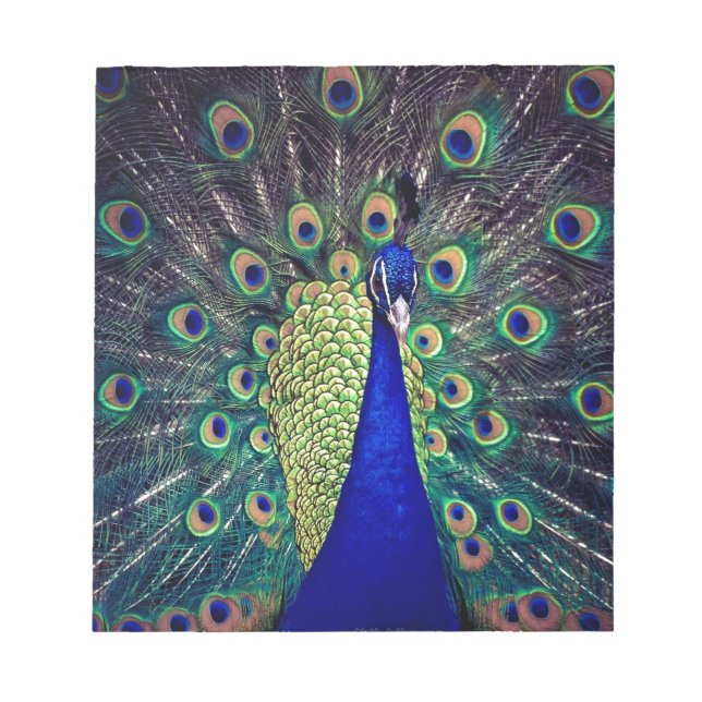Bloco De Notas Cobalto Blue Peacock (Frente)