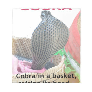 Bloco De Notas Cobra em uma cesta pronta para cuspir fogo