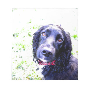 Bloco De Notas Cocker Spaniel