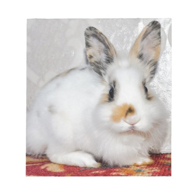 Bloco De Notas Coelho da Páscoa (Frente)