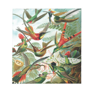 Bloco De Notas Colibris por Ernst Haeckel
