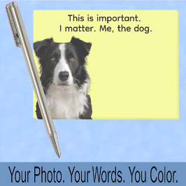 Bloco De Notas Collie or Your Dog Photo—Stocking Stuffer Cute