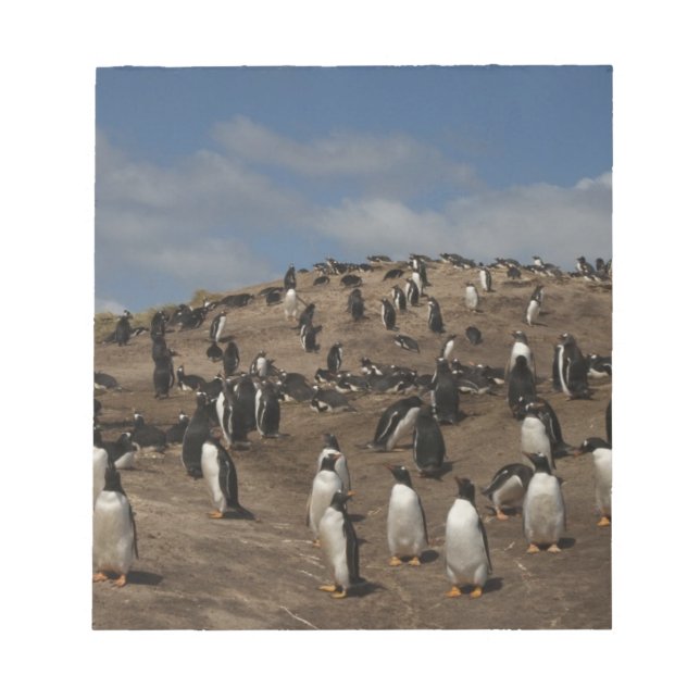 Bloco De Notas Colônia Gentoo Penguin (Pygoscelis papua) no Oeste (Frente)