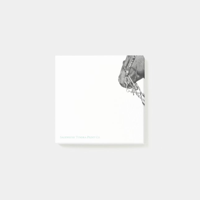 Bloco De Notas Colt in the Two Rein - Notas de 3" x 3" (Frente)