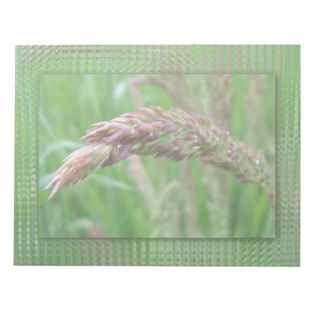 Bloco De Notas Como a grama cresce no Notepad (Frente)