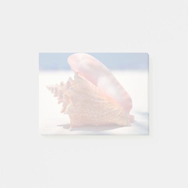Bloco De Notas Conch Shell na praia 2 (Frente)