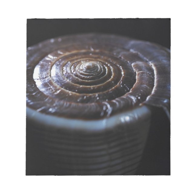 Bloco De Notas Concha de Cone (Frente)