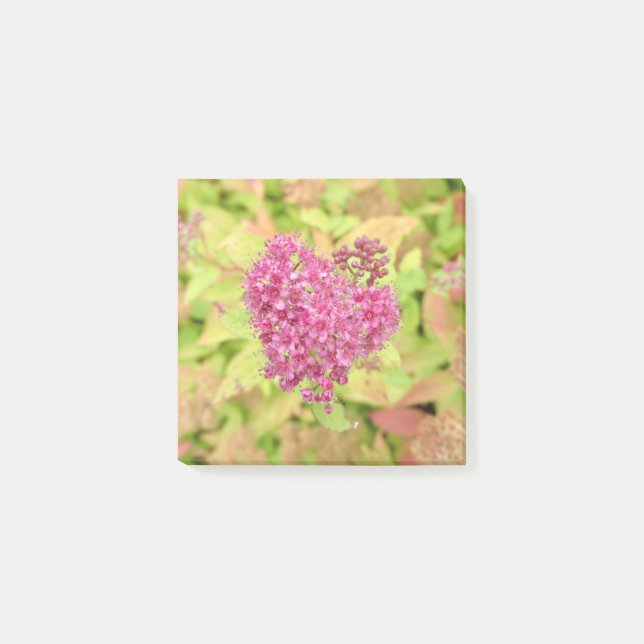 Bloco De Notas Coração Flor Natural - perfurado pela seta. (Frente)