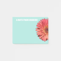 Coral Colorido Gerbera Daisy Photo Mint Green