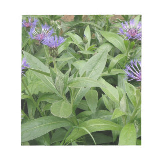 Bloco De Notas Cornflower Notepad