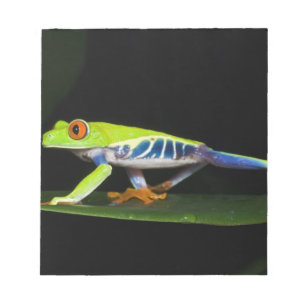 Bloco De Notas Costa Rica, Perereca-de-olhos-vermelhos (Agalychni