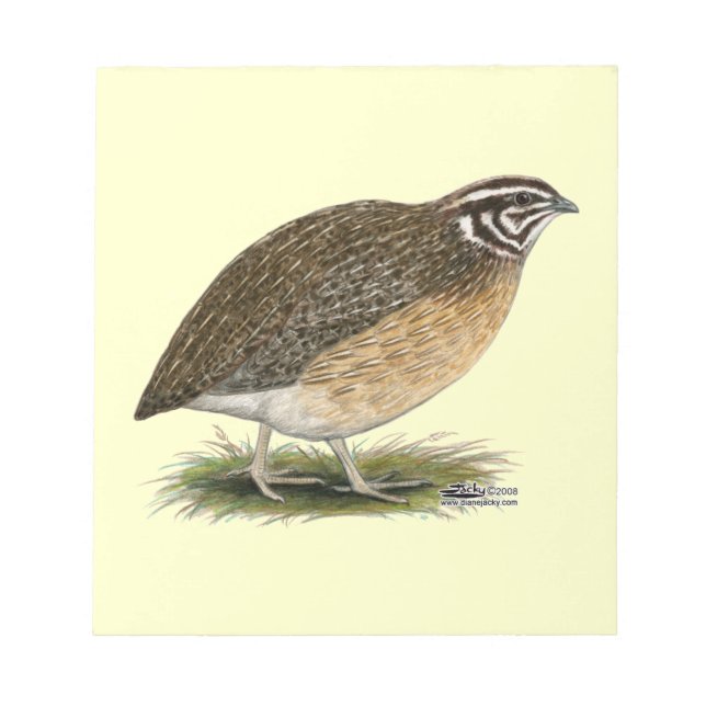 Bloco De Notas Coturnix Pharaoh Quail (Frente)