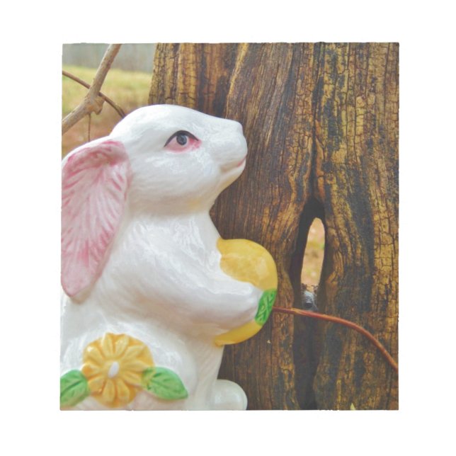 Bloco De Notas Country Páscoa Bunny (Frente)